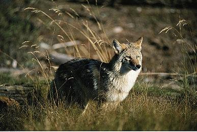 《侠之道》新更新将于7月20日上线 添加新剧情