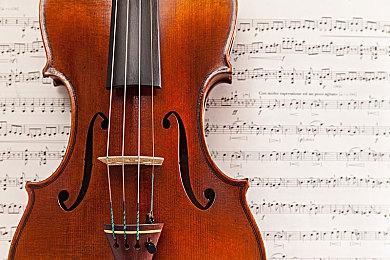 齿轮蜂落幕！ 《空洞骑士：丝之歌》第二补丁上线